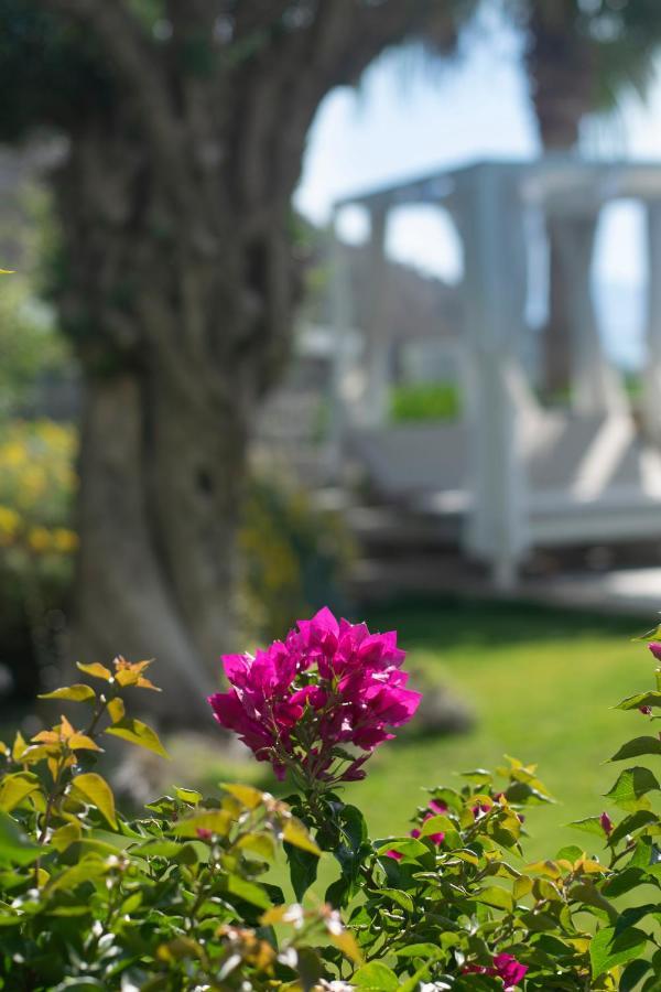 Bodrum Infinity Turgutreis Luaran gambar